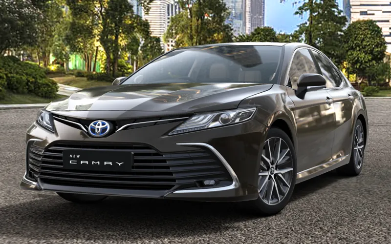 Camry (2019-2024) Graphite Metallic